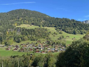 Ein Bergdorf mit traditionellen Holzhäusern, grünen Feldern und dichtem Wald.