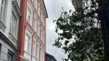 Eksteriør