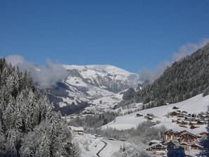 Miscellaneous - Cozy apartment, pets welcome - 9 guests (Arêches-Beaufort)