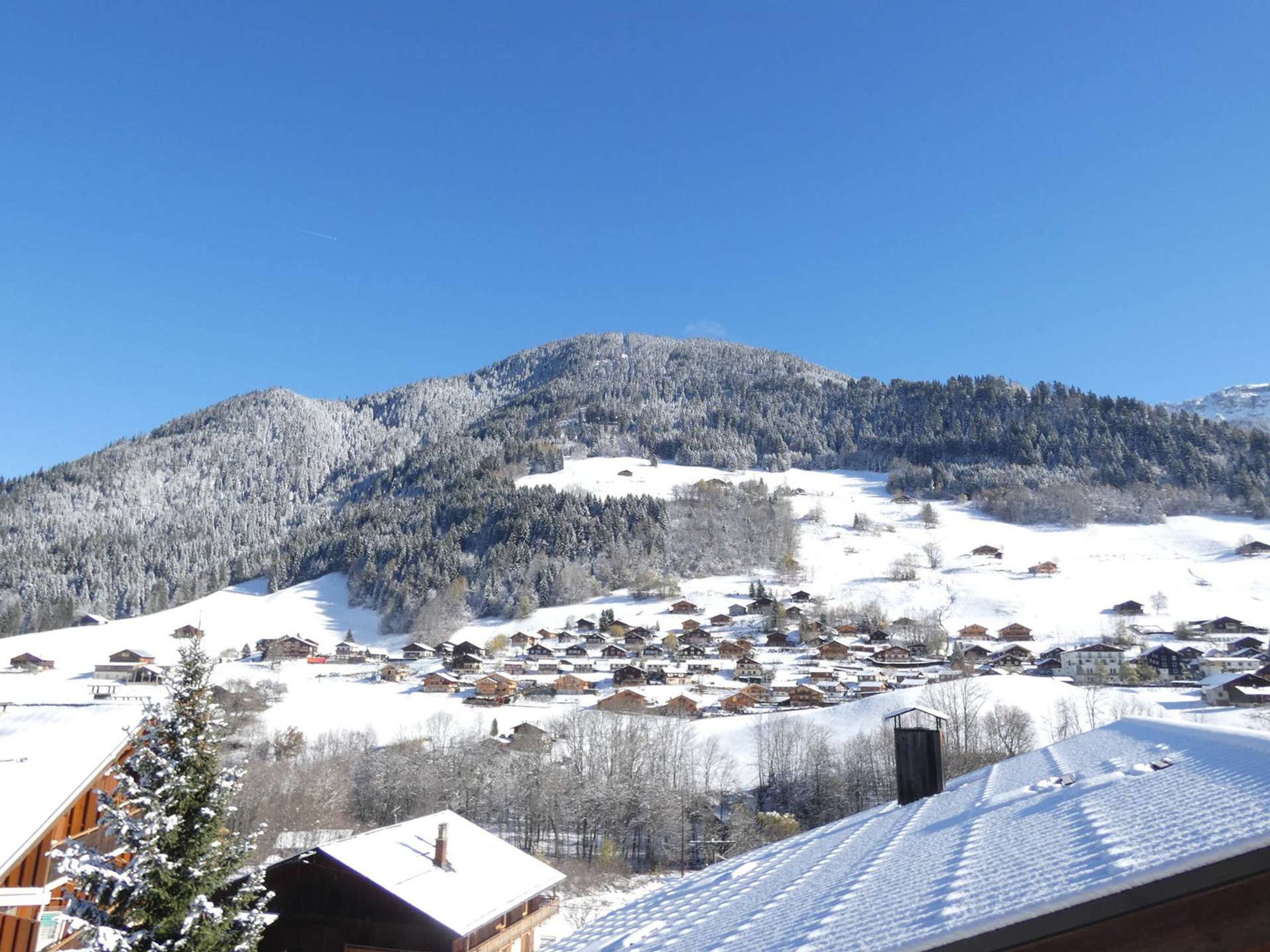 A snow-covered mountain with a village at its base.
