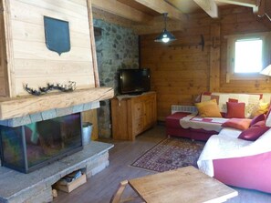 Fernseher