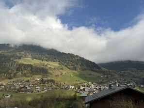 Miscellaneous - Apartment with stunning village view - 7 guests (Arêches-Beaufort)