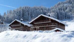 Eine Holzhütte mit mehreren Balkonen, umgeben von schneebedeckten Bäumen und einem klaren Himmel.