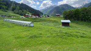 Paisaje rural con casas, un invernadero y montañas al fondo.