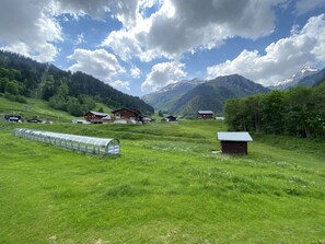Ländliche Landschaft mit Häusern, einem Gewächshaus und Bergen im Hintergrund.