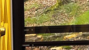 Une porte donnant sur une zone boisée, où l’on peut apercevoir un cerf à travers la vitre.