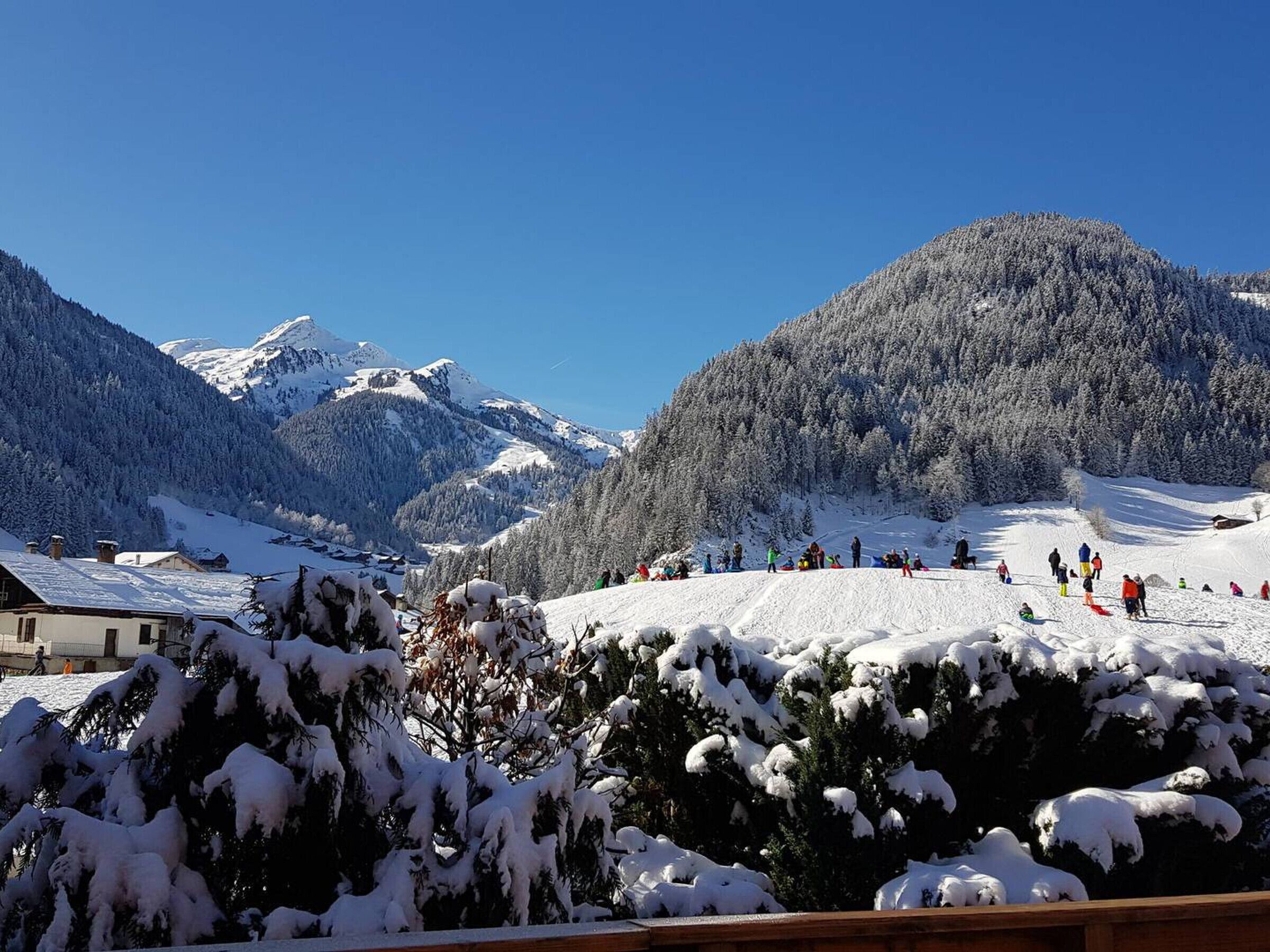 Wintersport/Ski