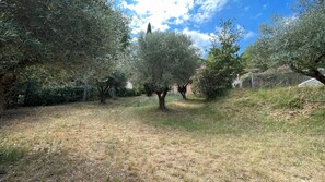 Property grounds - Oliveta Vacation Rental (Palaja)
