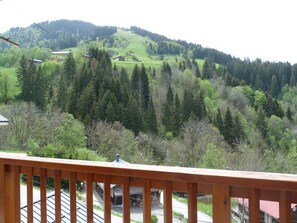 Property grounds - T2 apartment, pets allowed, village view (Arêches-Beaufort)