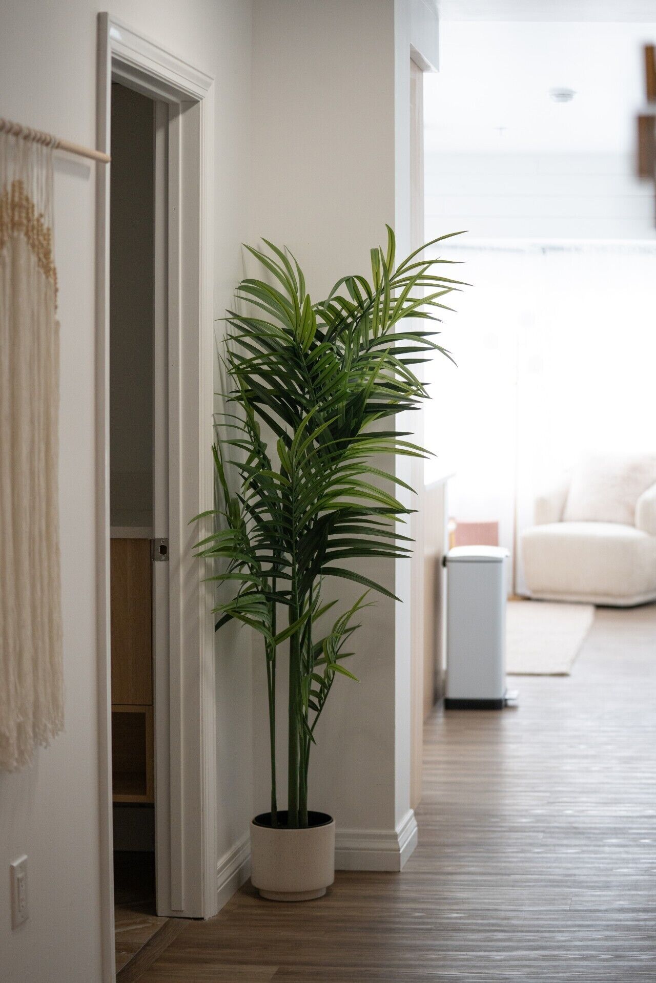 En gang med en potteplante, en hvid dør og en hvid sofa i baggrunden.
