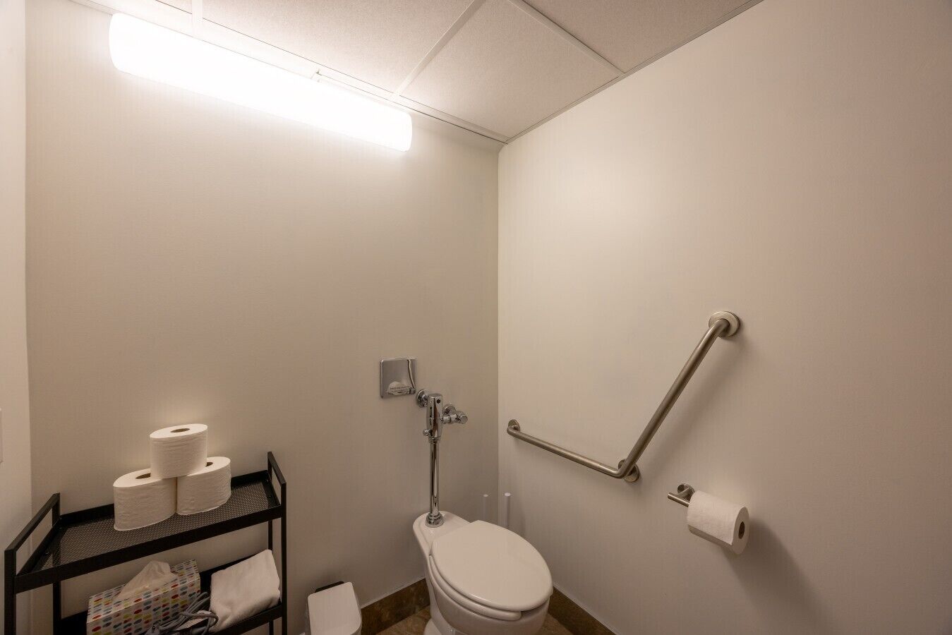 Et badeværelse med toilet, gelænder og hylde med toiletpapir.