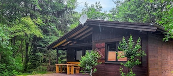 2 bedroom cozy home in Merzalben