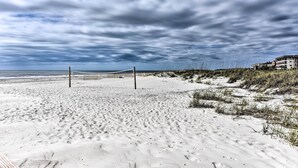 Ein Strand mit Volleyballnetz, Sand und Dünen.