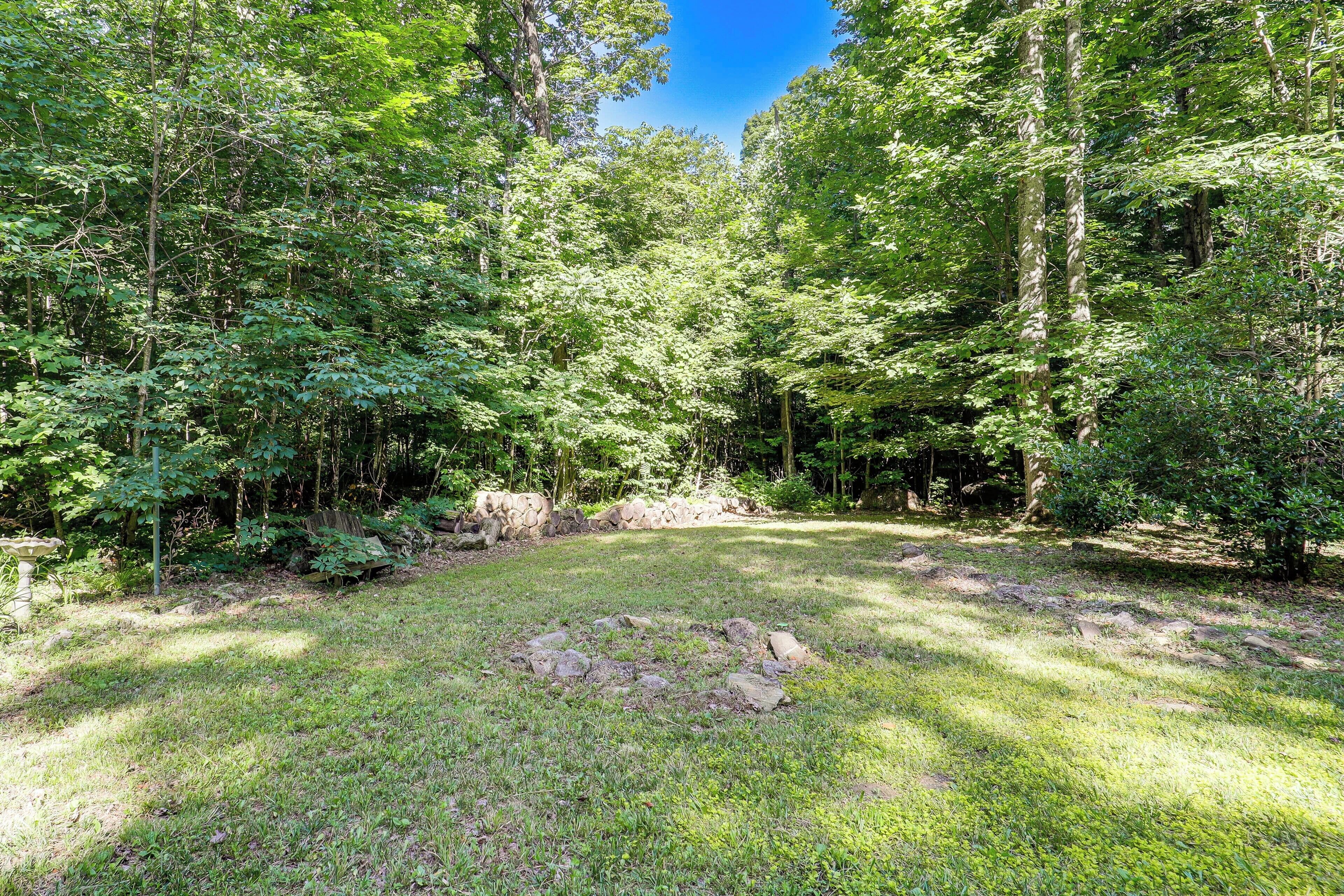 A forested area with a circular stone arrangement in the center.