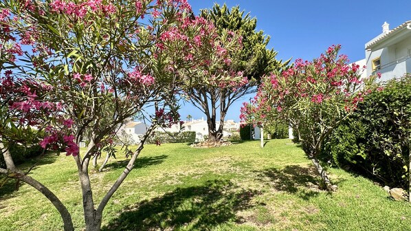 Property grounds - Jardim da Oura 9 | Community Pool | 7 Beds | Albufeira (Albufeira)