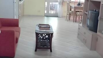 Télévision