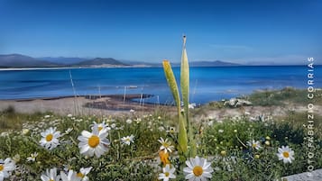 Spiaggia