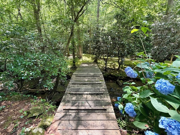 Property grounds - Moolian Creekfront Cabin - Blue Ridge Mountains (Hiawassee)