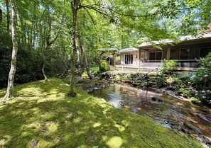 Exterior - Moolian Creekfront Cabin - Blue Ridge Mountains (Hiawassee)