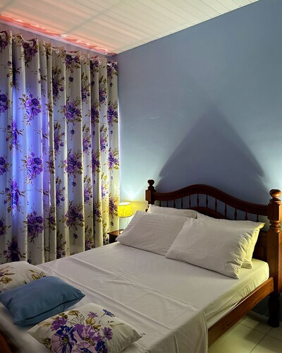 Colibri suites