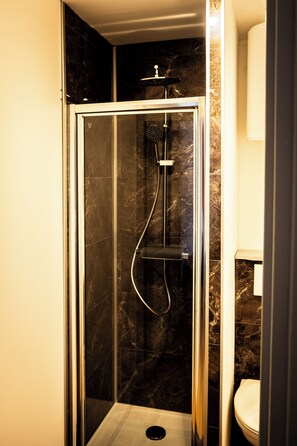 Shower, towels, toilet paper
