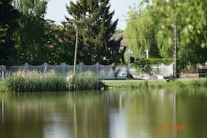 Terrain de l’hébergement 