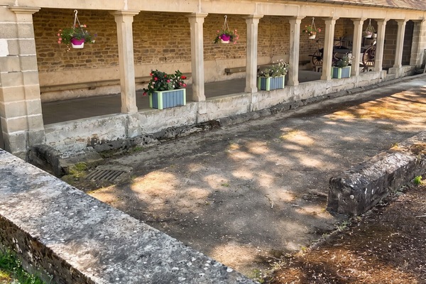 Jardin