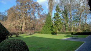Un giardino curato con diverse specie di alberi, un prato ben tagliato e un vialetto in ghiaia che conduce a un'area relax.