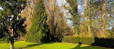 Jardín