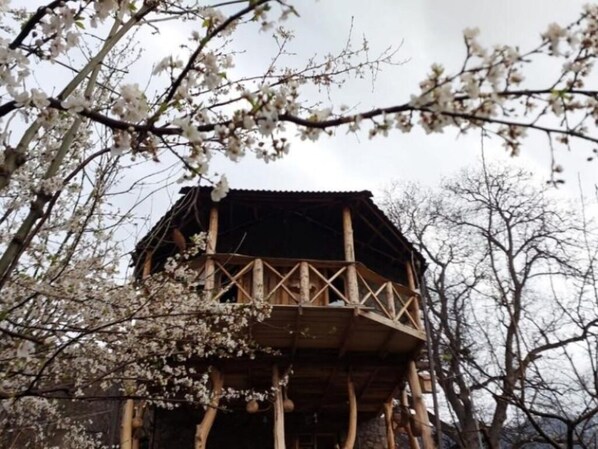 A wooden structure with a balcony, surrounded by trees with white blossoms.