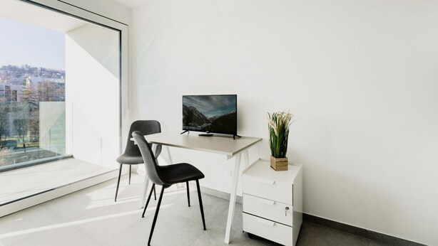 A modern office space with a desk, chair, TV, and a potted plant. - {Suite 504} Gym, Business Room, Modern, Relax (Lugano)