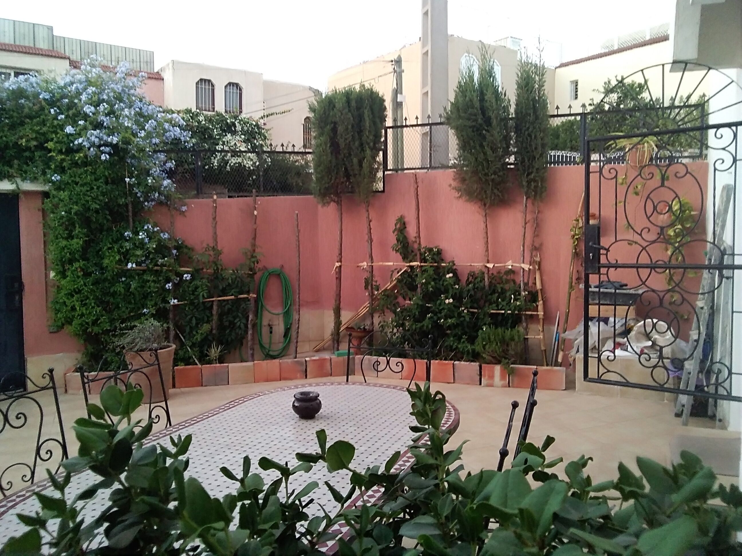 A courtyard with a round table, potted plants, a metal gate, and a red wall with climbing plants.