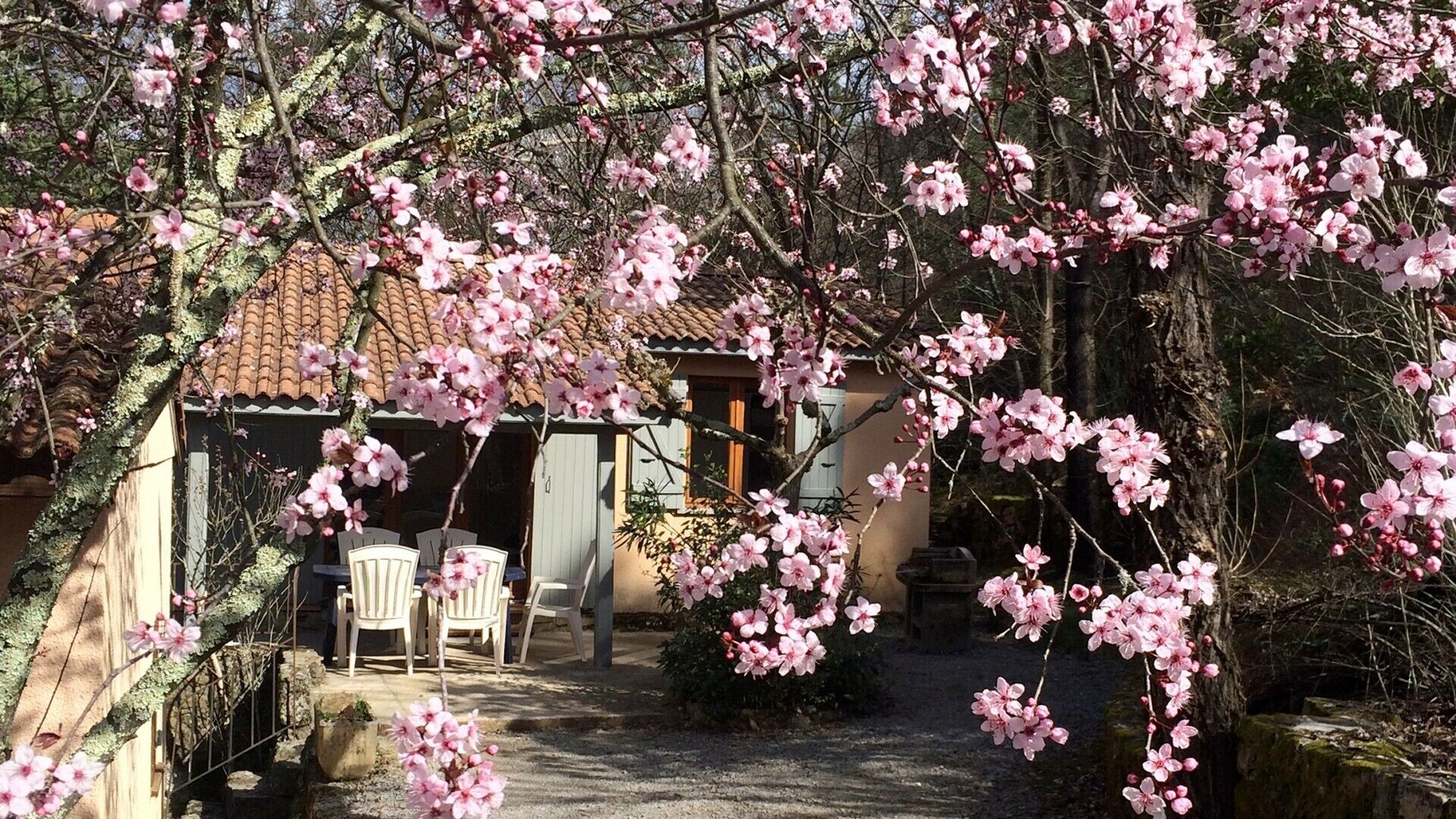 Terrasse/gårdhave