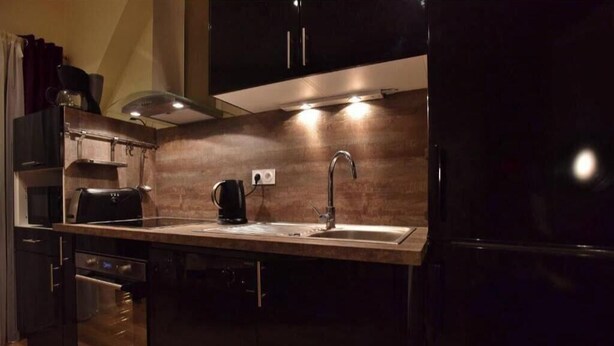 A modern kitchen with dark cabinetry, a stainless steel sink, and a built-in oven. - Deluxe Loft at Le Moulin Vert (Paris)