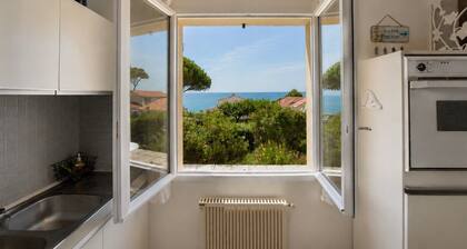 LARGE FAMILY HOME - Sleeps 13 - with OCEAN VIEW, 100 meters from the ocean