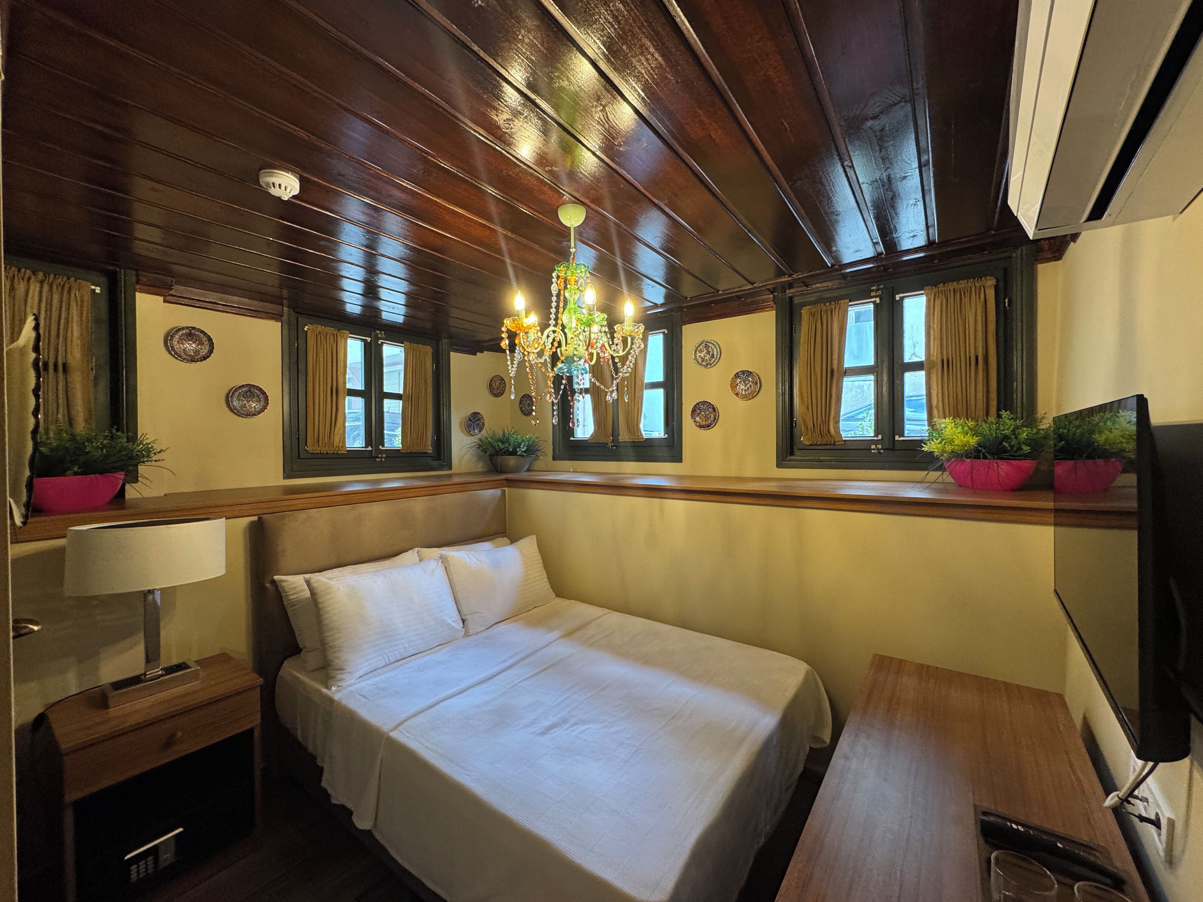 A hotel room with a bed, bedside table, lamp, TV, windows with curtains, a chandelier, and potted plants.