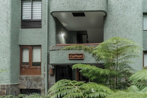 Exterior detail - Vista Lago Pucón - Hermoso departamento (Pucon)