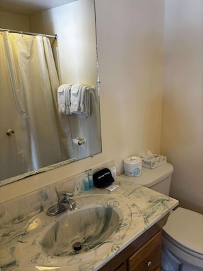 Shower, hair dryer, towels, soap - Cozy 1-bedroom hotel room, Hamilton - 309 Highline (Hamilton)
