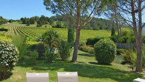 Un vignoble avec des rangées de vignes, une zone herbeuse avec des arbres et des sièges en plein air.