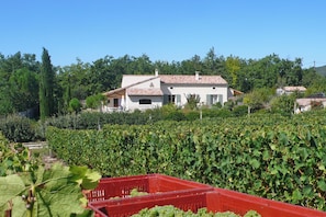 Property grounds - Les Cerisiers 1 Vacation Rentals: The Lavande Vacation Rental, Nestled in Nature Near the Drôme River (Mirabel-et-Blacons)
