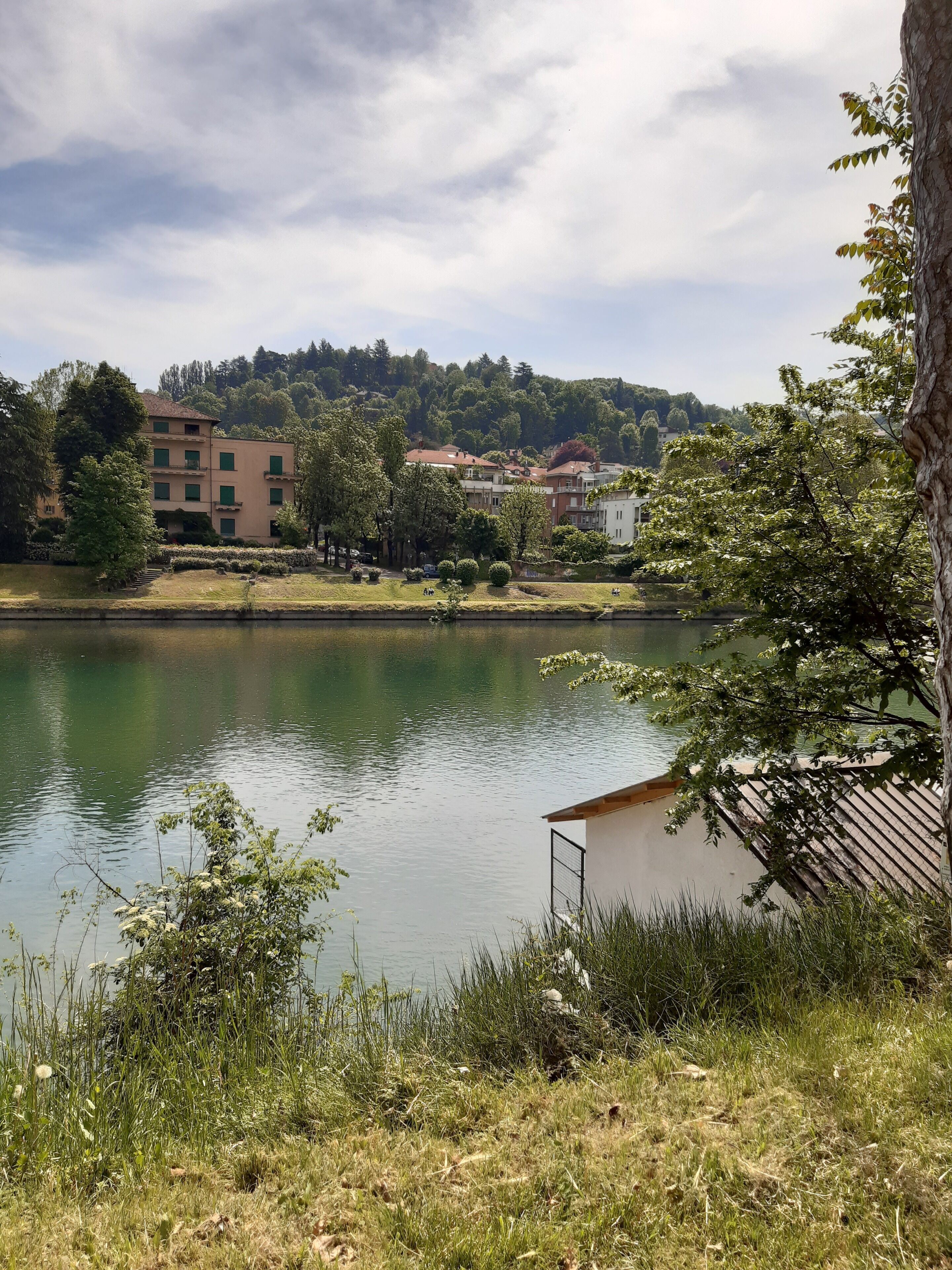 Un lago tranquilo con edificios al fondo, rodeado de vegetación.
