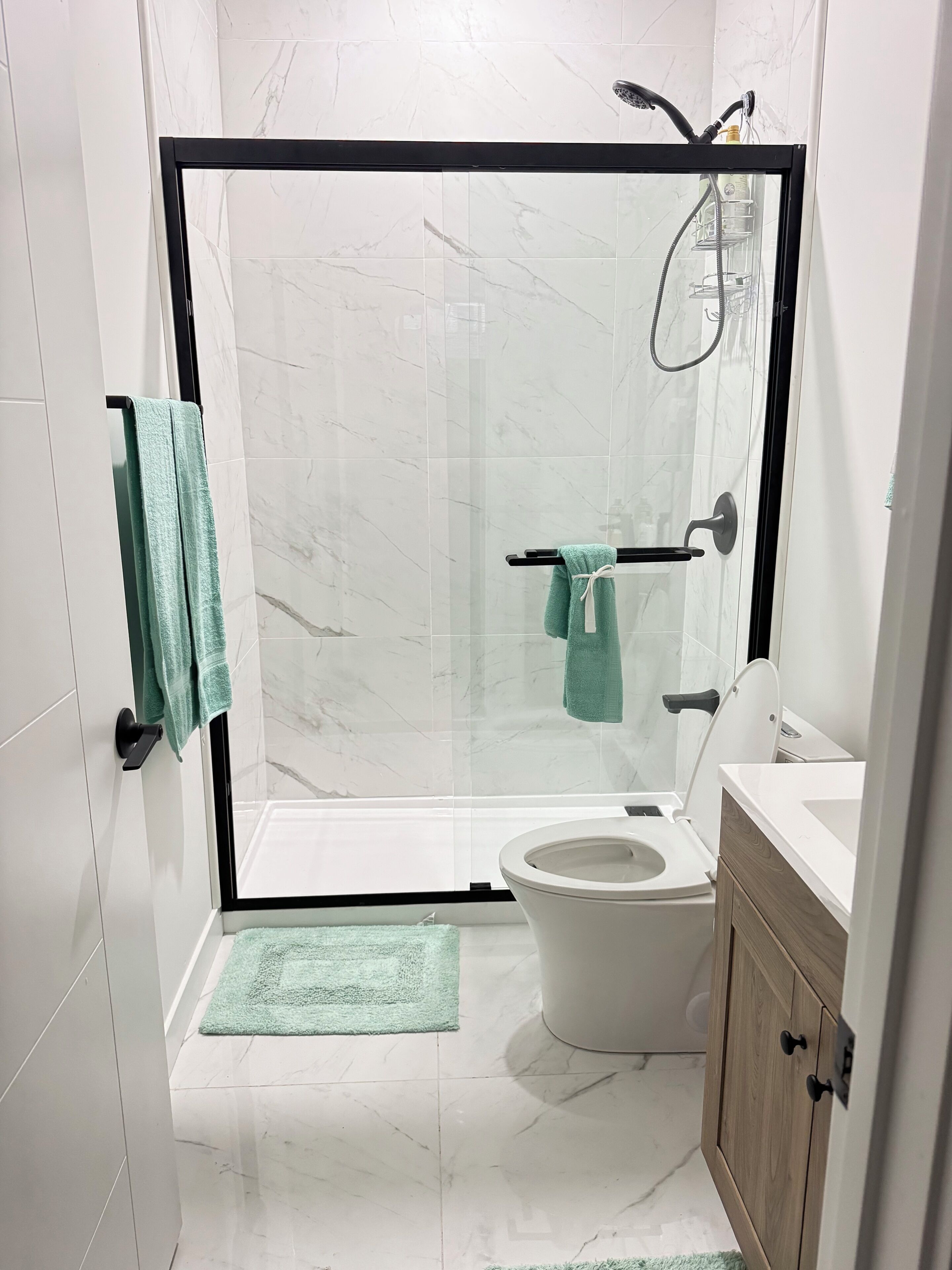 Shower, bidet, towels, soap