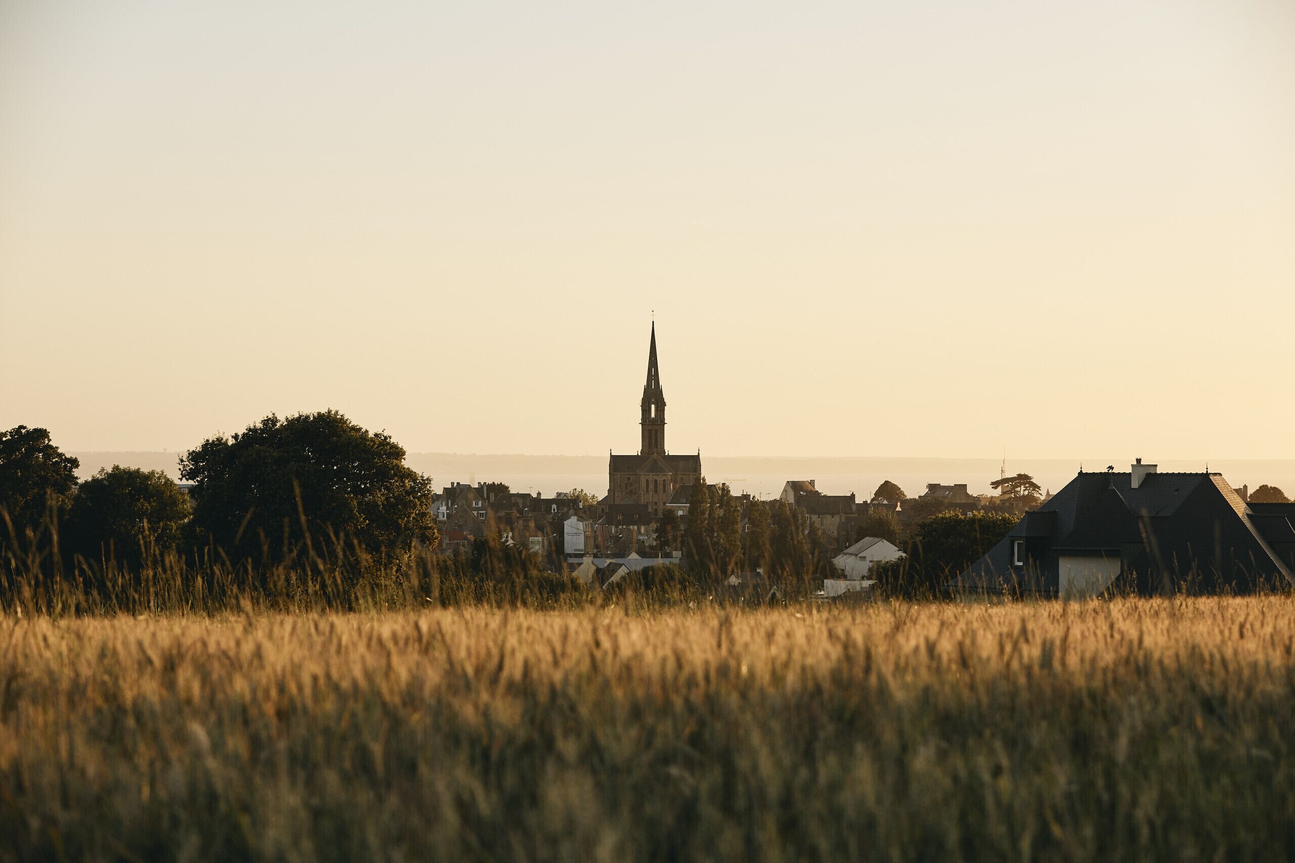 Une ville dont l’église, reconnaissable à son imposant clocher, est entourée de maisons et d’un champ d’herbes hautes.