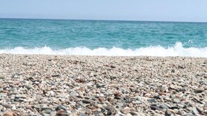 Una playa de guijarros con olas rompiendo en la orilla.