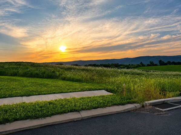 A sunset over a grassy field with a road in the foreground.