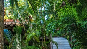 A staircase surrounded by lush greenery, leading to a building with a checkered floor. - CASA DE COLUMNAS (Cartagena)