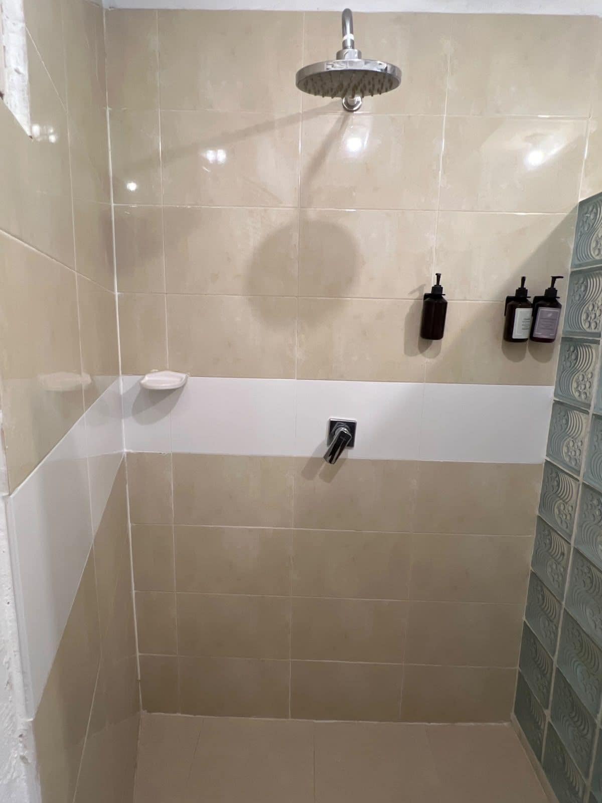 A shower with a handheld showerhead, a handheld soap dispenser, and a wall-mounted soap dispenser.