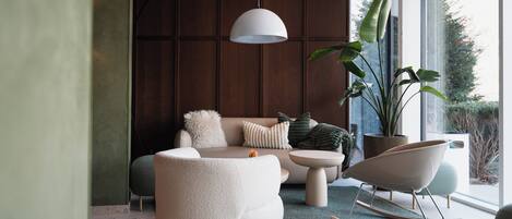 A modern living room with a sofa, a round chair, a hanging light fixture, and a large potted plant.