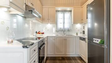 Fridge, oven, stovetop, dishwasher