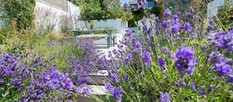 Hendre - sleeps 8 guests  in 4 bedrooms